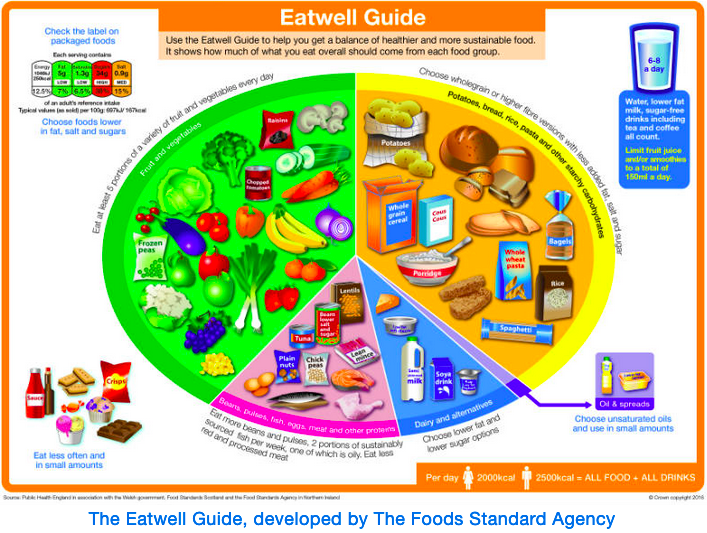 The Eatwell Guide, which actively promotes unhealthy or at least not the healthiest, nutritious eating